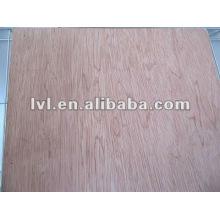 1220 * 2440mm contrachapado bintangor para muebles